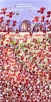 Floral Field