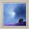 Lavender Splendour (Framed)
