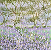 Bluebells on a Spring Day II