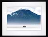Mists of Time (Framed)