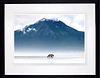 Mists of Time (Framed)