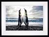 Dare to Hope (Framed)