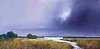 Marshes under the Cloud
