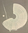Mini Brushstroke - Cream III