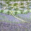 Woodland Serenity III