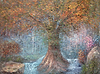 Colourful Forest Tree