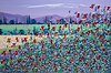 Poppies and Summer
