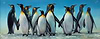 Penguin Family