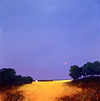 Red Sky at Night IV