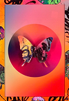 Colourful Butterfly II