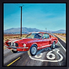 1967 Shelby Mustang GT500 (Framed)