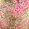 Hanami Gold XXX