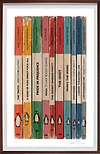 The Truth and Other Fiction (Framed)