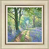 Bluebell (bridlepath) (Framed)
