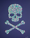 Skull and Crossbones