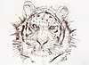 Tiger Study I