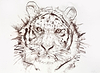 Tiger Study I