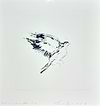 Bird on a Wing after DB