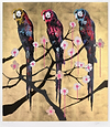 Polly Folly 14/25