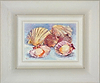 More Scallops IV (Framed)