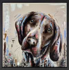 Golden-Eyes (Framed)