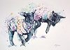 Springing Lambs