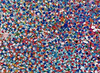 Keukenhof, from Veils (H4-8)