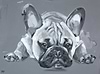 Diamonds Are A Frenchies Best Friend II