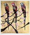 Polly Folly 20/25