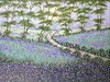 Springtime Bluebells