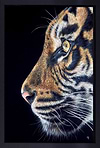 Tiger III (Framed)
