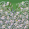 Fieldmouse and Florals at Night