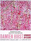 Cherry Blossoms