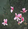 Magnolia and Bee's