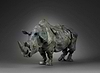 Southern White Rhino