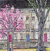 A Magenta Door