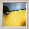 Yellow Tones of Home (Framed)