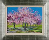Cherry Trees in Blossom