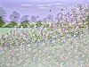 Summer Bloom II