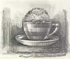 Tea Time (Sketch)