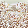 Evening in the Meadow V
