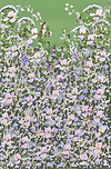 Serenity in Bloom III