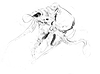 Octopus Study II