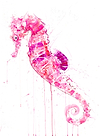Seahorse III (Looking For Love)