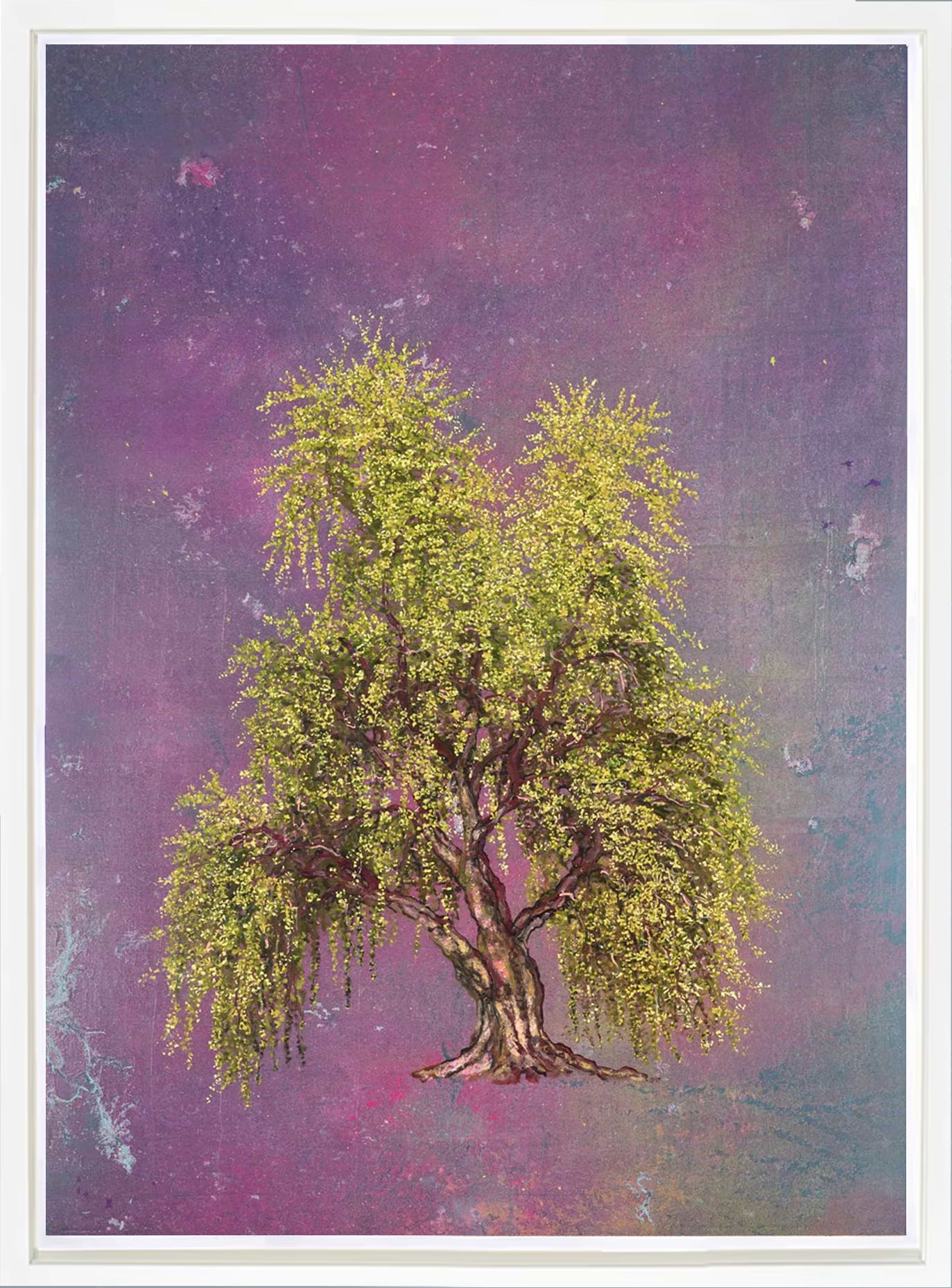 Weeping Willow | Jack Frame – Clarendon Fine Art