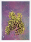 Weeping Willow