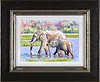 Elephant Days, Botswana