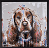 Spaniel Love V