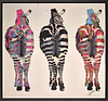 Zebra Crossing