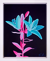 Inverted Lily